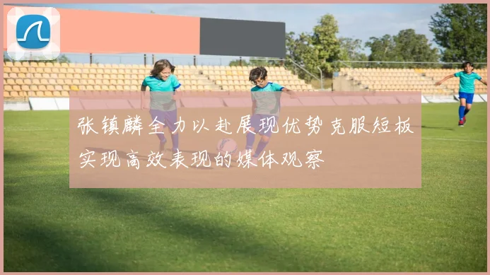 张镇麟全力以赴展现优势克服短板实现高效表现的媒体观察