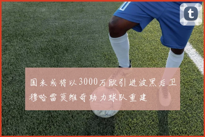 国米或将以3000万欧引进波黑后卫穆哈雷莫维奇助力球队重建